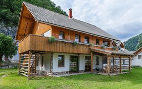Pogacar Apartments
